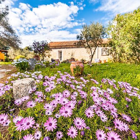 Casa Lilliosa Villa Campavaglio Exterior foto