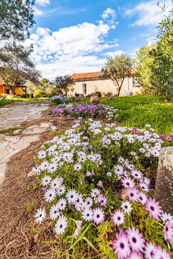 Casa Lilliosa Villa Campavaglio Exterior foto