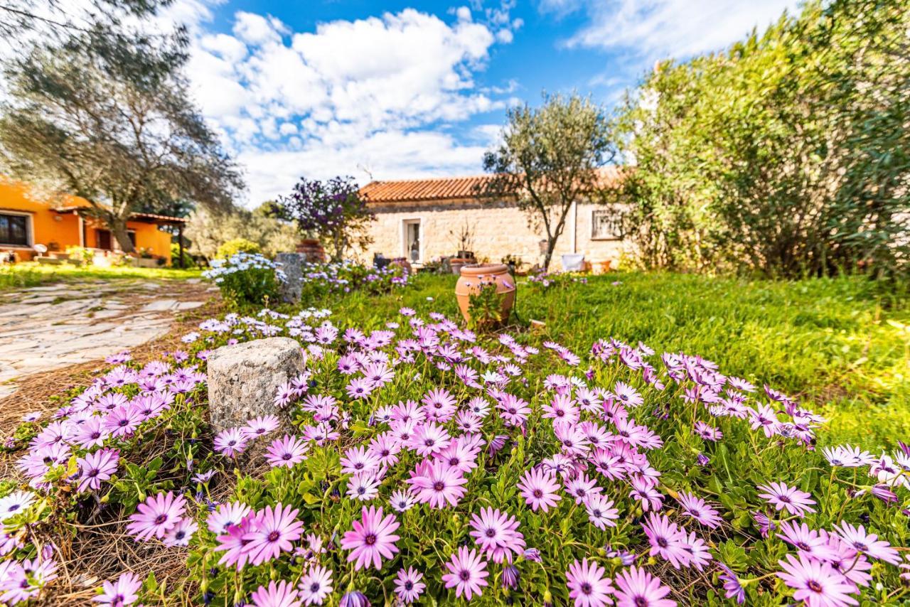 Casa Lilliosa Villa Campavaglio Exterior foto